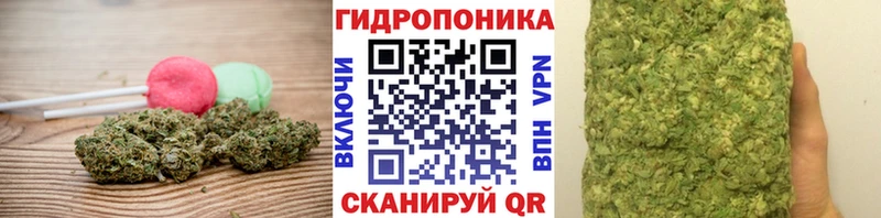 где можно купить   Завитинск  Еда ТГК конопля 