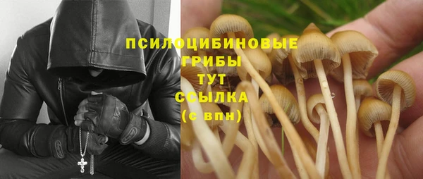 эйфоретик Верхний Тагил