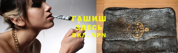 индика Бородино