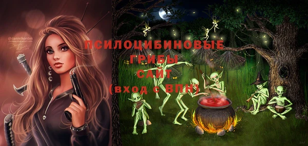 СК Волосово